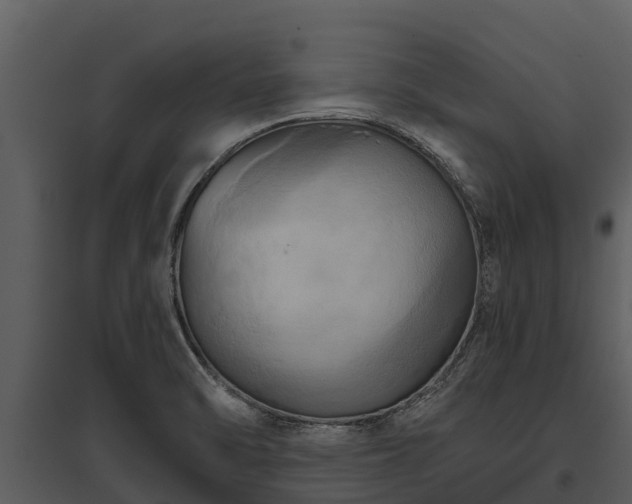 X0000095681470200801151115