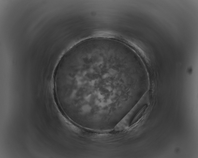 X0000095681471200801151115