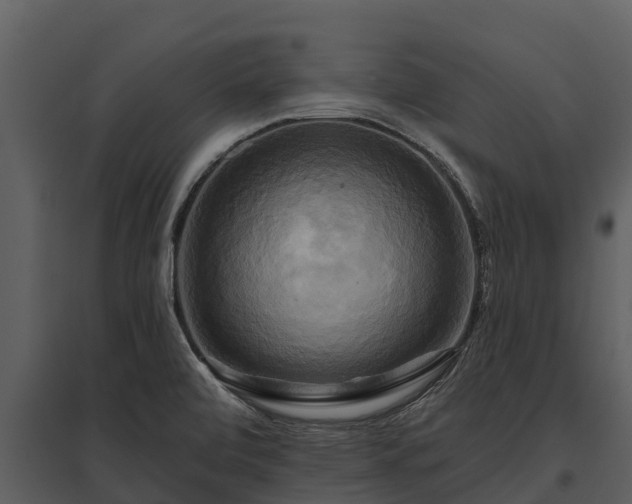 X0000095681472200801151115