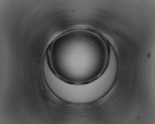 X0000095681473200801151115