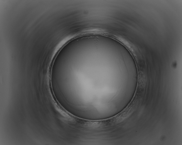 X0000095681474200801151115