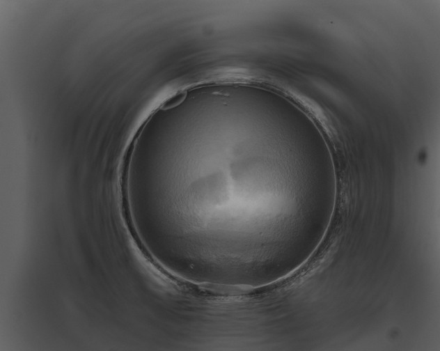 X0000095681475200801151115