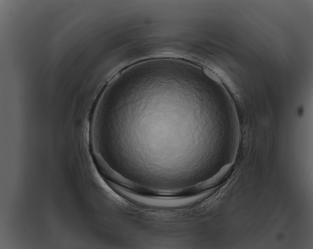 X0000095681476200801151115