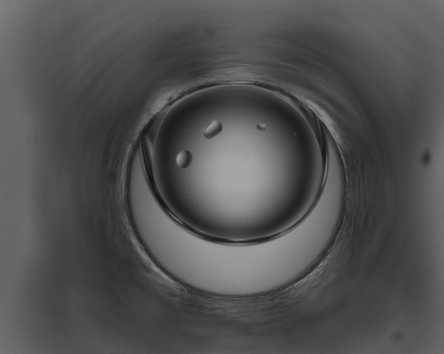 X0000095681477200801151115