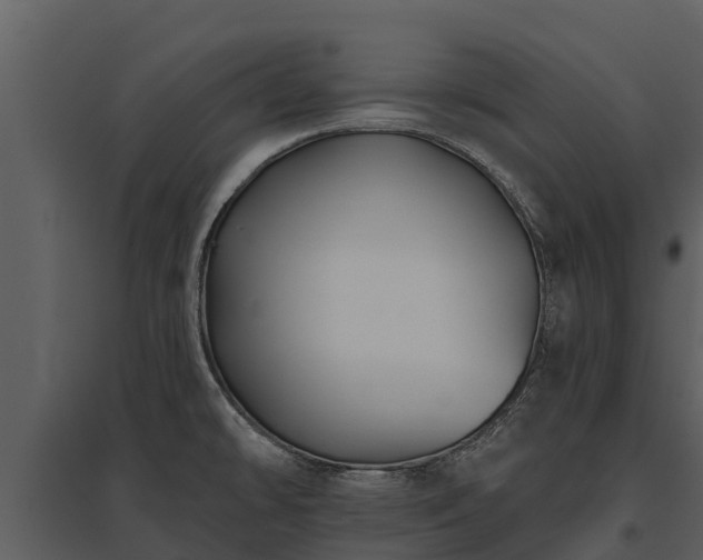 X0000095681478200801151115