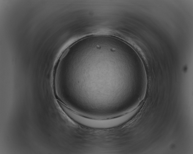 X0000095681480200801151115