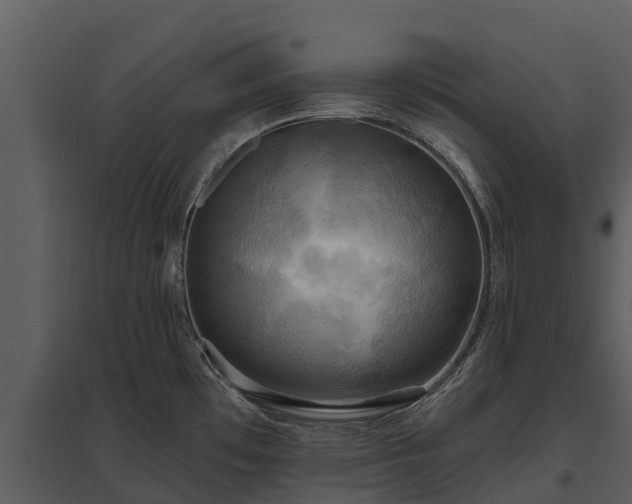X0000095681481200801151115