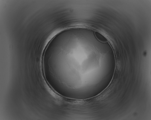 X0000095681482200801151115