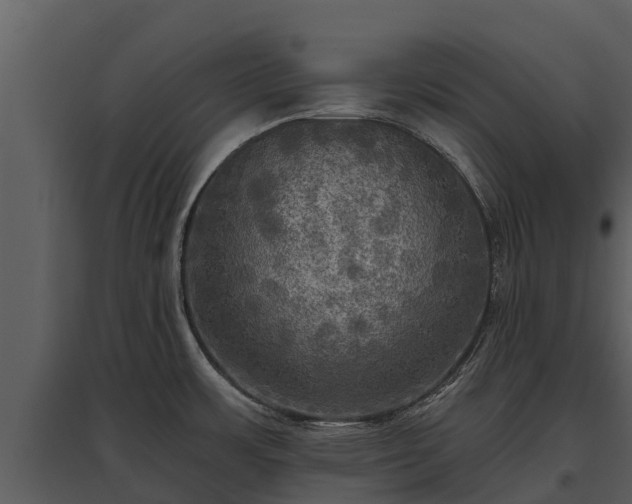X0000095681483200801151115
