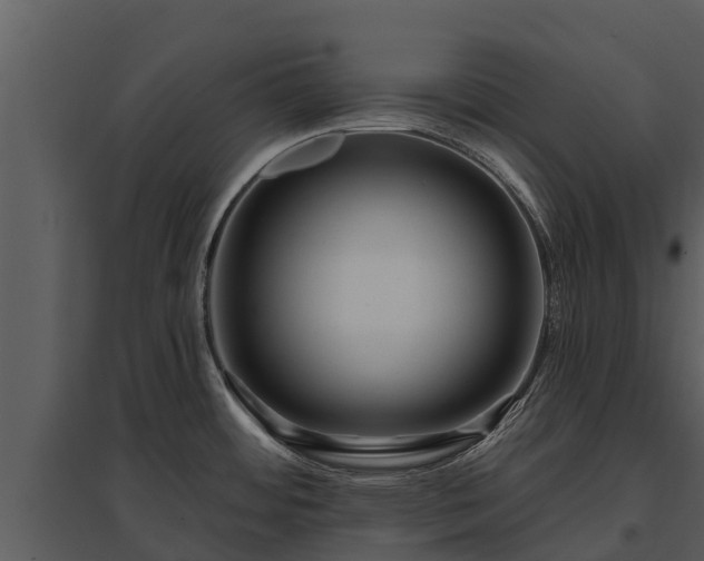 X0000095681484200801151115