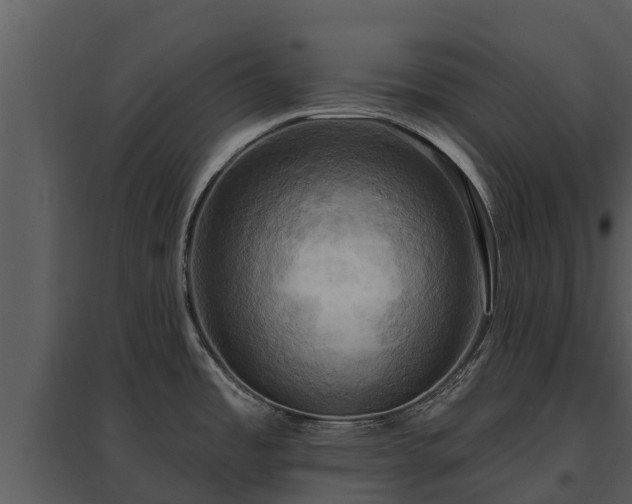X0000095681485200801151115