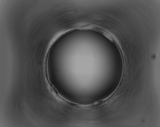 X0000095681488200801151115