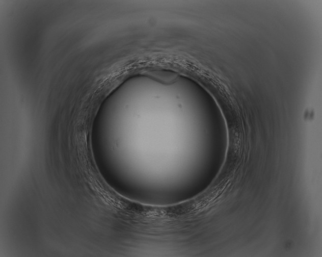 X0000095681489200801151114