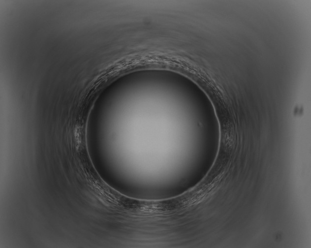 X0000095681490200801151114