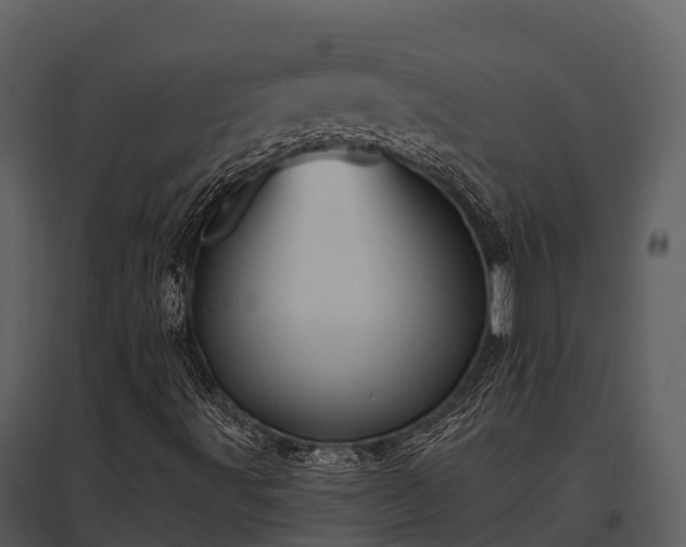X0000095681491200801151114