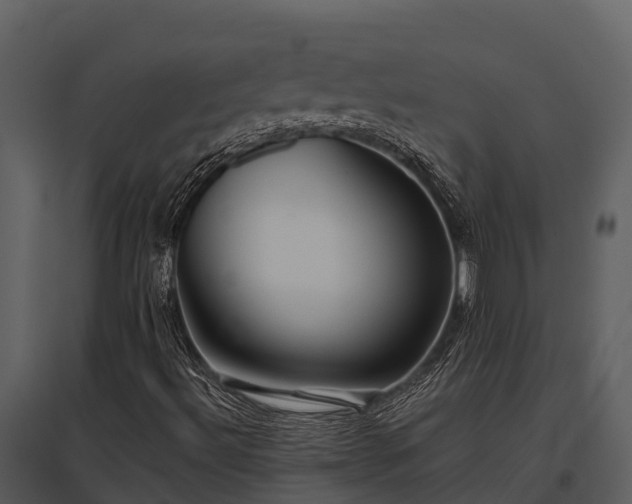 X0000095681492200801151114