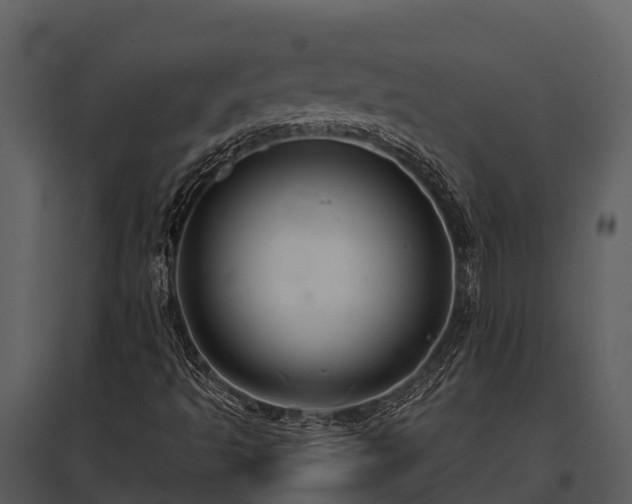 X0000095681493200801151114