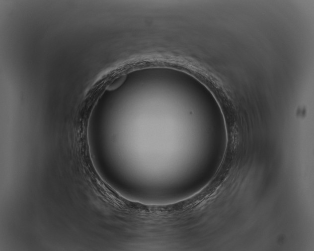 X0000095681494200801151114