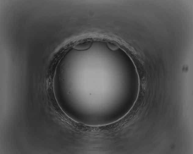 X0000095681495200801151114