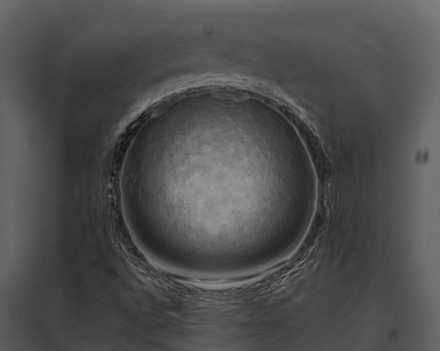 X0000095681496200801151114