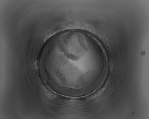 X0000095681497200801151114