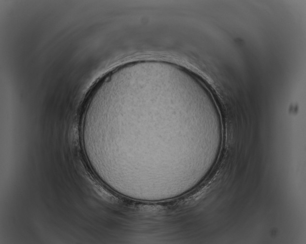 X0000095681498200801151114