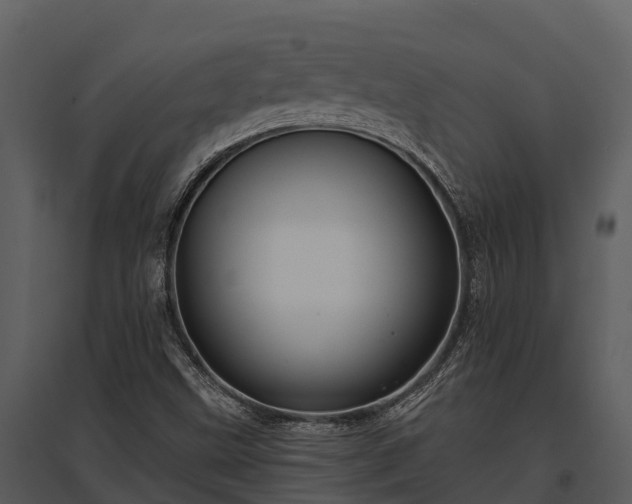 X0000095681499200801151114