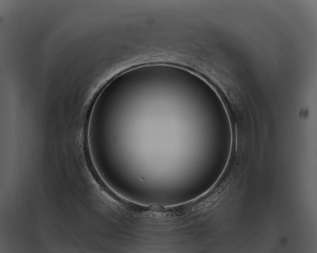 X0000095681500200801151114