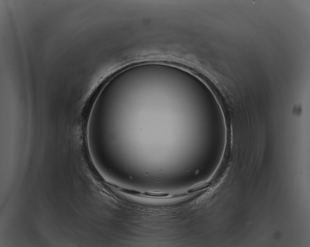 X0000095681501200801151114