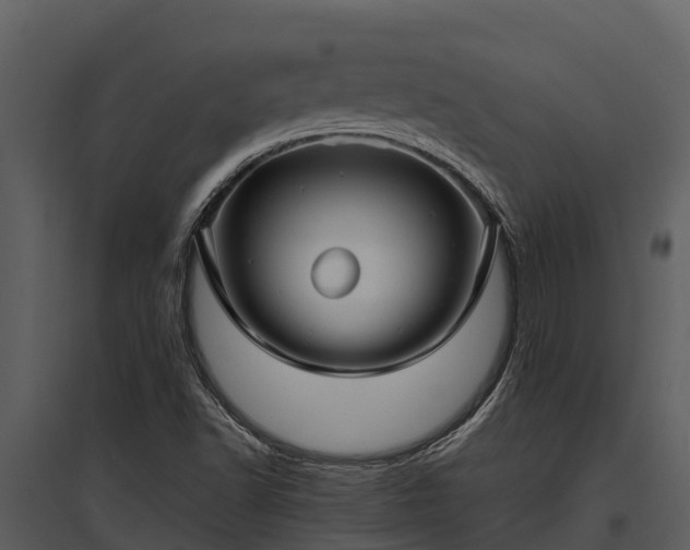 X0000095681502200801151114