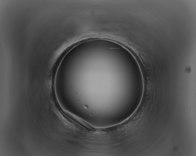 X0000095681503200801151114