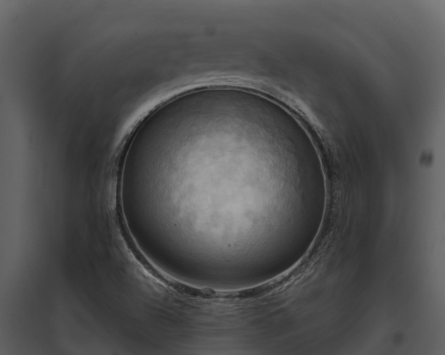 X0000095681504200801151114