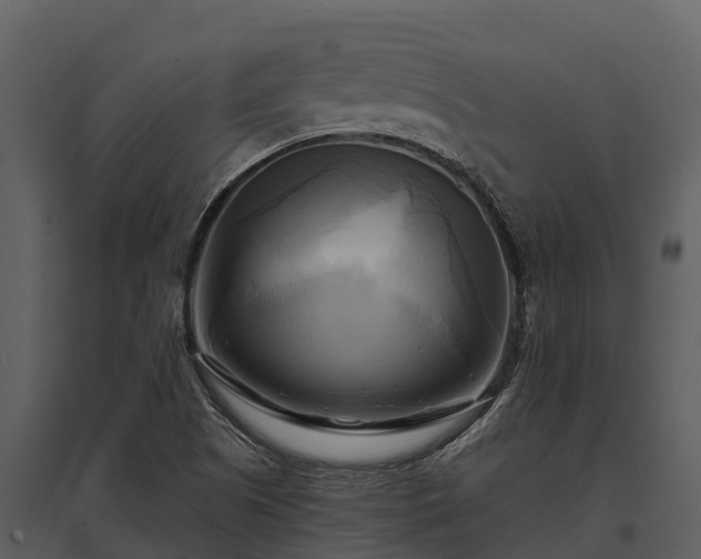 X0000095681505200801151114