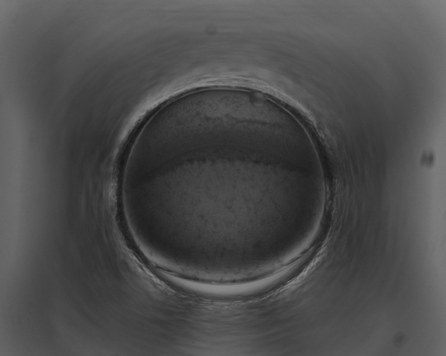 X0000095681506200801151114