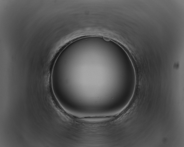X0000095681507200801151114