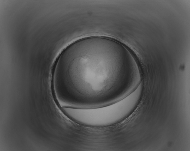 X0000095681508200801151114