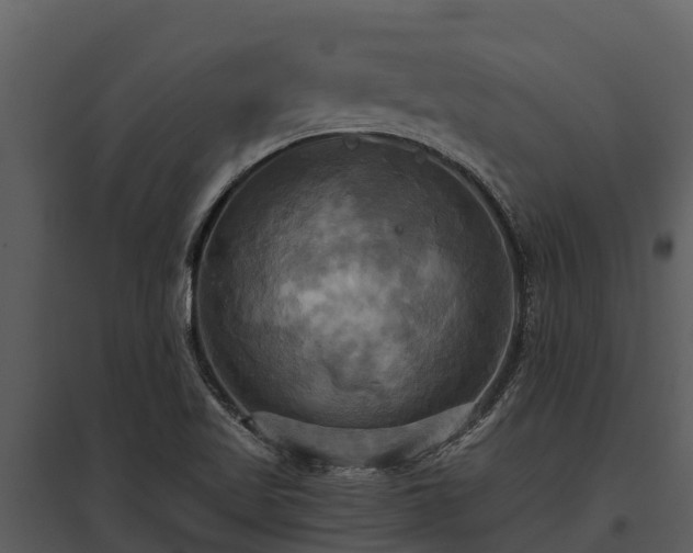 X0000095681509200801151114