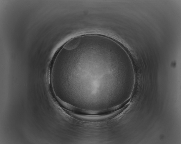 X0000095681510200801151114