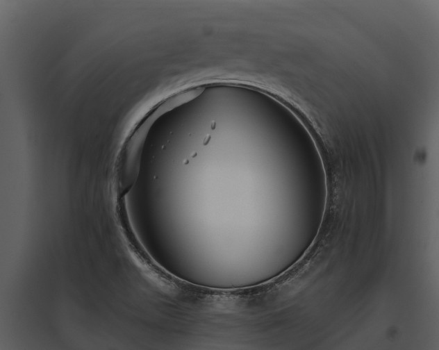 X0000095681511200801151114