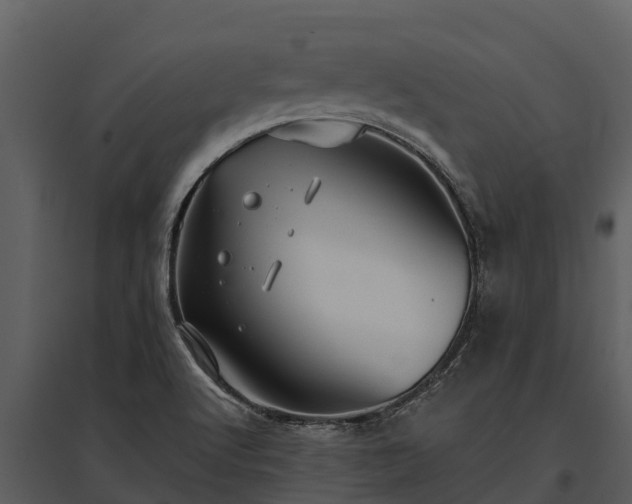 X0000095681512200801151114