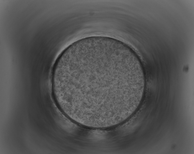 X0000095681514200801151114