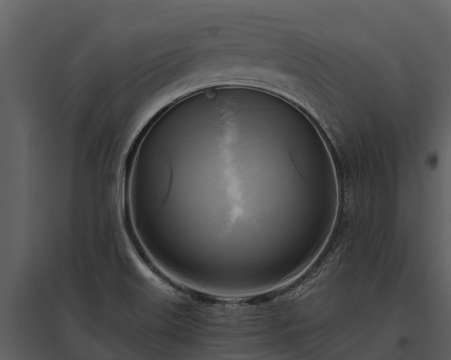 X0000095681515200801151114