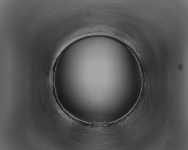 X0000095681516200801151114