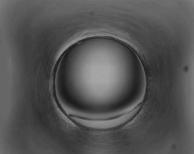 X0000095681518200801151114