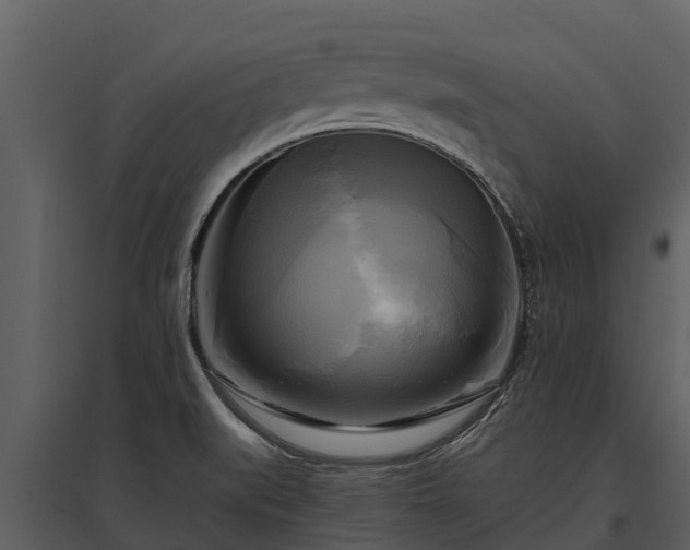 X0000095681519200801151114
