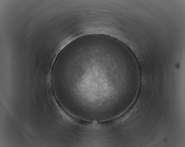 X0000095681521200801151114