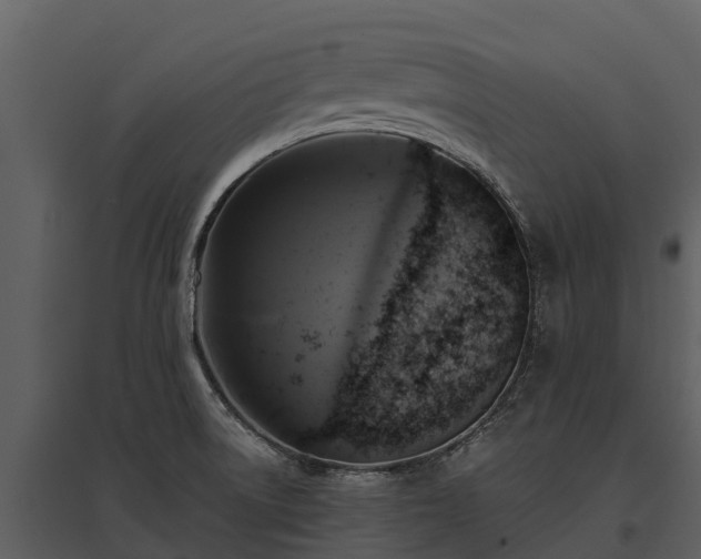 X0000095681522200801151114