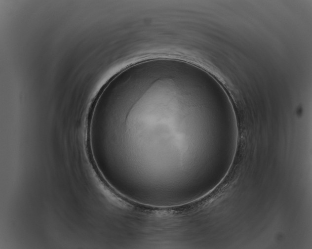 X0000095681523200801151114
