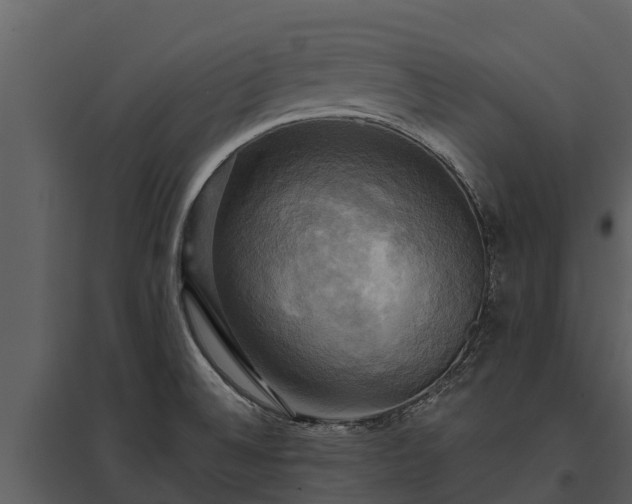 X0000095681524200801151114