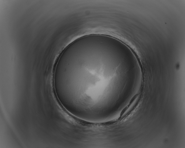 X0000095681525200801151114